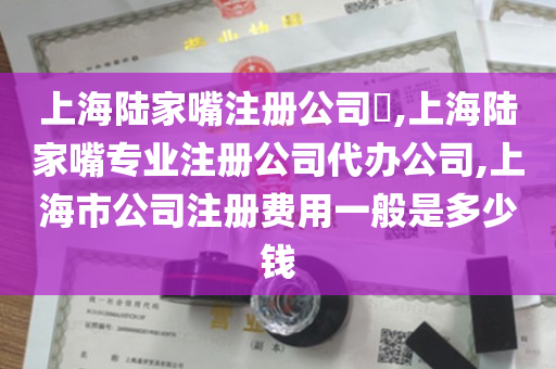 上海陆家嘴注册公司​,上海陆家嘴专业注册公司代办公司,上海市公司注册费用一般是多少钱