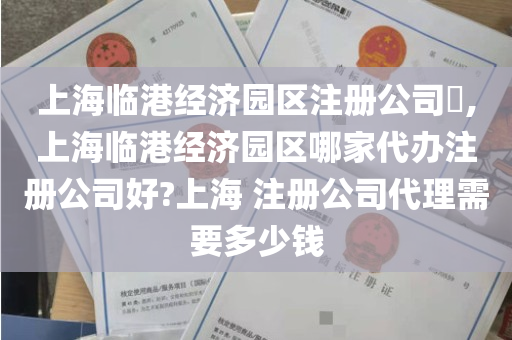 上海临港经济园区注册公司​,上海临港经济园区哪家代办注册公司好?上海 注册公司代理需要多少钱