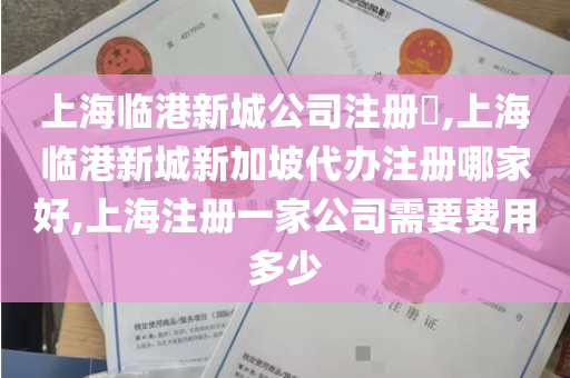 上海临港新城公司注册​,上海临港新城新加坡代办注册哪家好,上海注册一家公司需要费用多少
