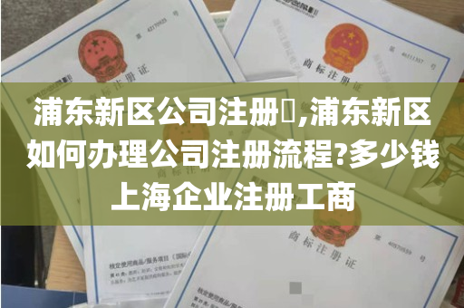 浦东新区公司注册​,浦东新区如何办理公司注册流程?多少钱上海企业注册工商