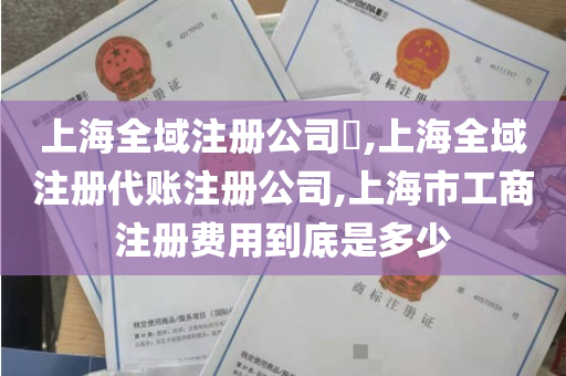 上海全域注册公司​,上海全域注册代账注册公司,上海市工商注册费用到底是多少