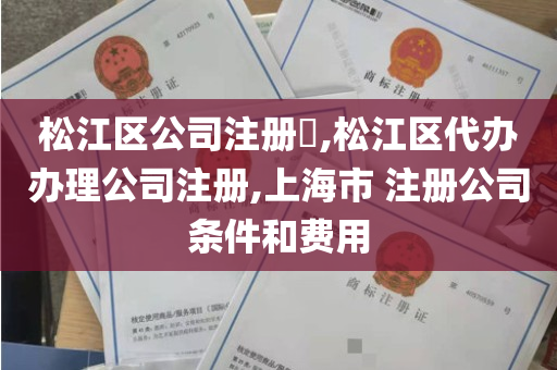 松江区公司注册​,松江区代办办理公司注册,上海市 注册公司条件和费用