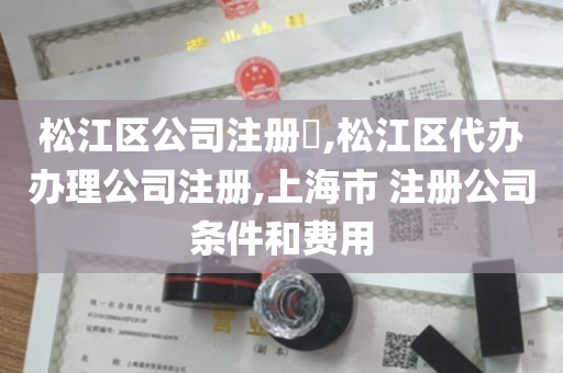 松江区公司注册​,松江区代办办理公司注册,上海市 注册公司条件和费用