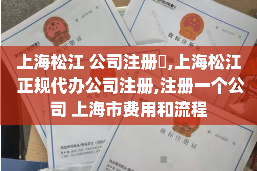 上海松江 公司注册​,上海松江 正规代办公司注册,注册一个公司 上海市费用和流程
