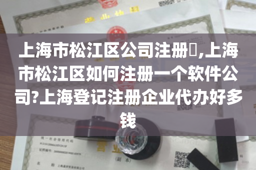 上海市松江区公司注册​,上海市松江区如何注册一个软件公司?上海登记注册企业代办好多钱
