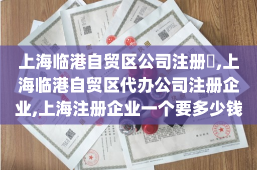 上海临港自贸区公司注册​,上海临港自贸区代办公司注册企业,上海注册企业一个要多少钱