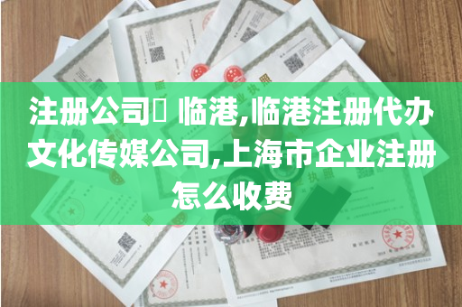 注册公司​ 临港,临港注册代办文化传媒公司,上海市企业注册怎么收费