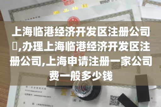 上海临港经济开发区注册公司​,办理上海临港经济开发区注册公司,上海申请注册一家公司费一般多少钱