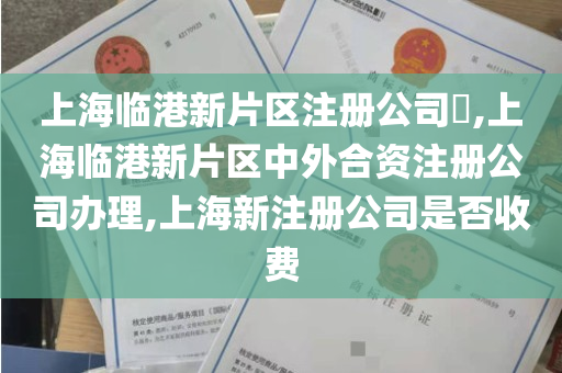 上海临港新片区注册公司​,上海临港新片区中外合资注册公司办理,上海新注册公司是否收费