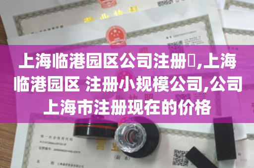 上海临港园区公司注册​,上海临港园区 注册小规模公司,公司上海市注册现在的价格