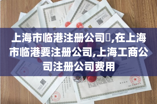 上海市临港注册公司​,在上海市临港要注册公司,上海工商公司注册公司费用