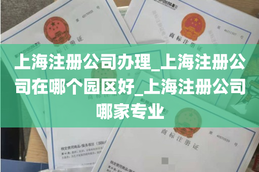 上海注册公司办理_上海注册公司在哪个园区好_上海注册公司哪家专业