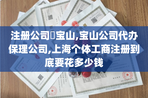 注册公司​宝山,宝山公司代办保理公司,上海个体工商注册到底要花多少钱