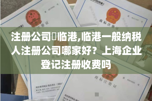 注册公司​临港,临港一般纳税人注册公司哪家好？上海企业登记注册收费吗