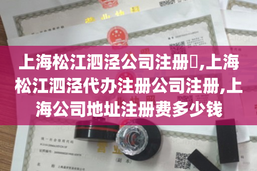上海松江泗泾公司注册​,上海松江泗泾代办注册公司注册,上海公司地址注册费多少钱