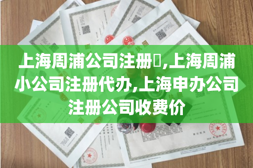 上海周浦公司注册​,上海周浦小公司注册代办,上海申办公司注册公司收费价