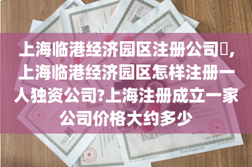 上海临港经济园区注册公司​,上海临港经济园区怎样注册一人独资公司?上海注册成立一家公司价格大约多少