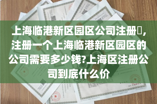 上海临港新区园区公司注册​,注册一个上海临港新区园区的公司需要多少钱?上海区注册公司到底什么价