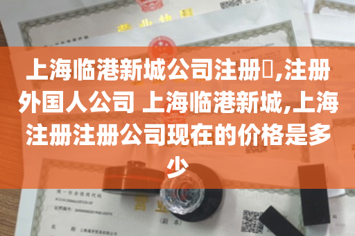 上海临港新城公司注册​,注册外国人公司 上海临港新城,上海注册注册公司现在的价格是多少