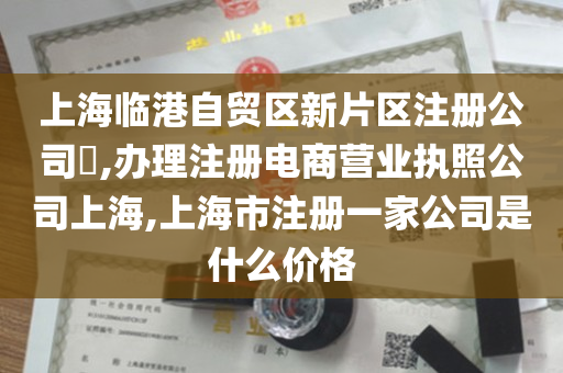 上海临港自贸区新片区注册公司​,办理注册电商营业执照公司上海,上海市注册一家公司是什么价格