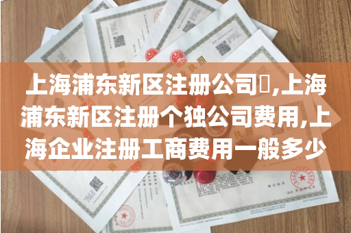 上海浦东新区注册公司​,上海浦东新区注册个独公司费用,上海企业注册工商费用一般多少