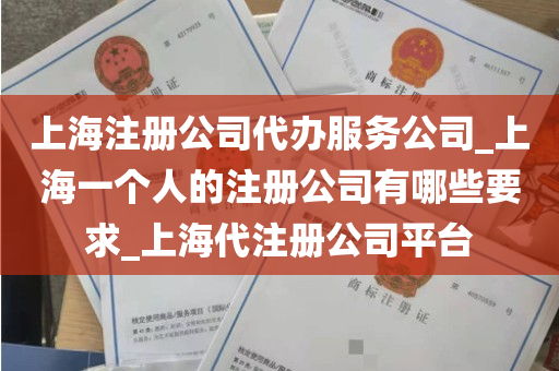 上海注册公司代办服务公司_上海一个人的注册公司有哪些要求_上海代注册公司平台
