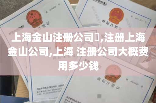 上海金山注册公司​,注册上海金山公司,上海 注册公司大概费用多少钱
