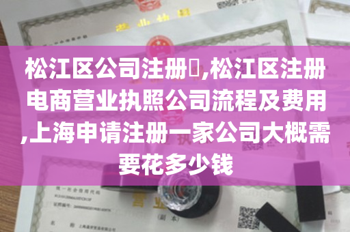 松江区公司注册​,松江区注册电商营业执照公司流程及费用,上海申请注册一家公司大概需要花多少钱