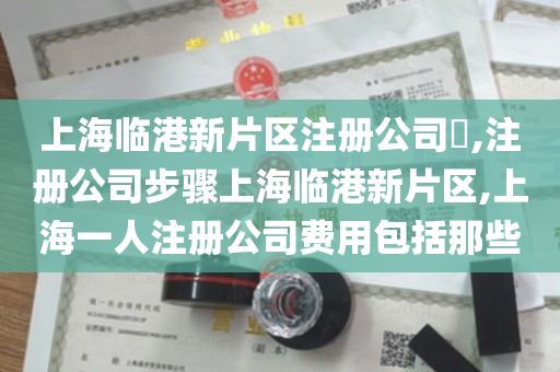 上海临港新片区注册公司​,注册公司步骤上海临港新片区,上海一人注册公司费用包括那些