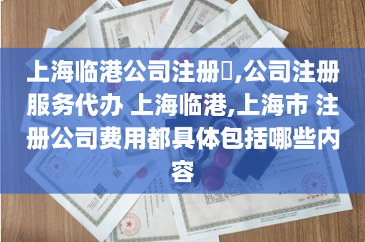 上海临港公司注册​,公司注册服务代办 上海临港,上海市 注册公司费用都具体包括哪些内容