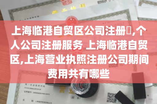 上海临港自贸区公司注册​,个人公司注册服务 上海临港自贸区,上海营业执照注册公司期间费用共有哪些