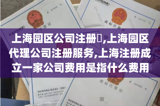 上海园区公司注册​,上海园区代理公司注册服务,上海注册成立一家公司费用是指什么费用