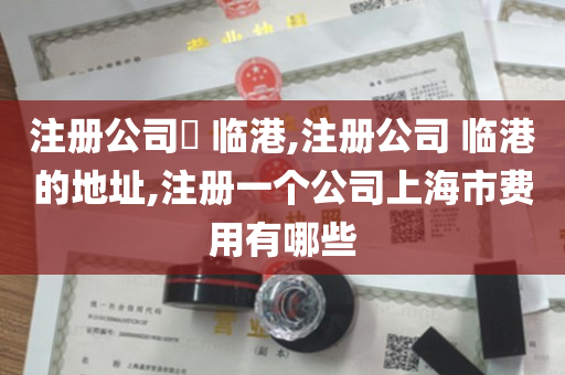注册公司​ 临港,注册公司 临港的地址,注册一个公司上海市费用有哪些