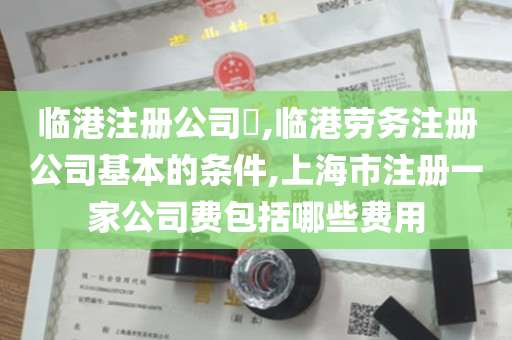 临港注册公司​,临港劳务注册公司基本的条件,上海市注册一家公司费包括哪些费用