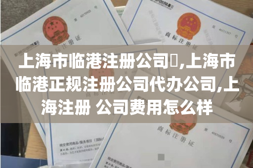 上海市临港注册公司​,上海市临港正规注册公司代办公司,上海注册 公司费用怎么样