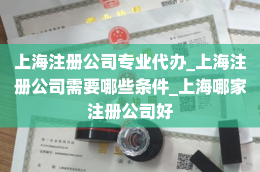上海注册公司专业代办_上海注册公司需要哪些条件_上海哪家注册公司好
