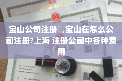 宝山公司注册​,宝山在怎么公司注册?上海 注册公司中各种费用