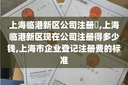 上海临港新区公司注册​,上海临港新区现在公司注册得多少钱,上海市企业登记注册费的标准