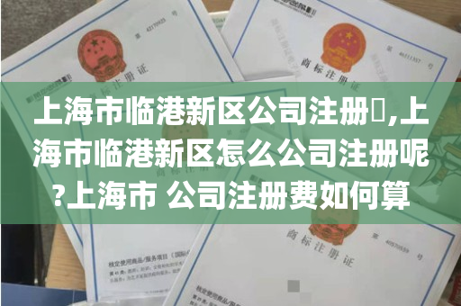 上海市临港新区公司注册​,上海市临港新区怎么公司注册呢?上海市 公司注册费如何算