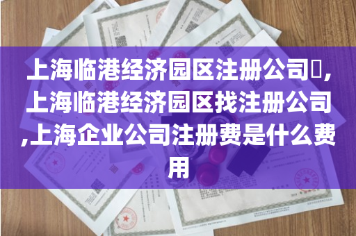 上海临港经济园区注册公司​,上海临港经济园区找注册公司,上海企业公司注册费是什么费用