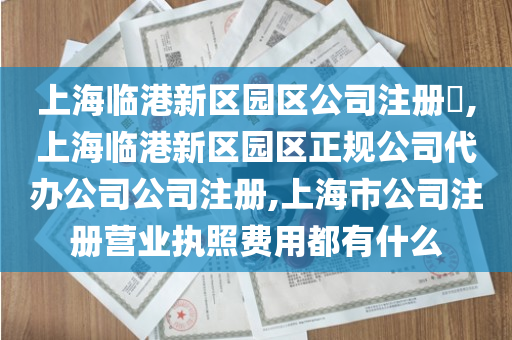 上海临港新区园区公司注册​,上海临港新区园区正规公司代办公司公司注册,上海市公司注册营业执照费用都有什么