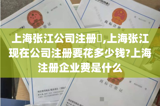 上海张江公司注册​,上海张江现在公司注册要花多少钱?上海注册企业费是什么