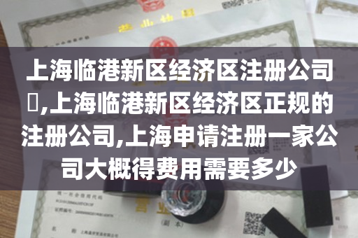 上海临港新区经济区注册公司​,上海临港新区经济区正规的注册公司,上海申请注册一家公司大概得费用需要多少
