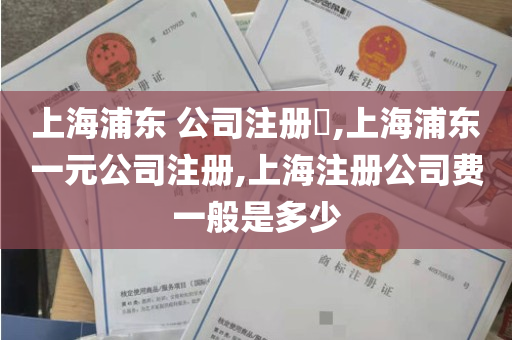 上海浦东 公司注册​,上海浦东一元公司注册,上海注册公司费一般是多少
