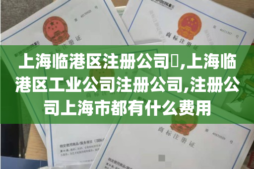 上海临港区注册公司​,上海临港区工业公司注册公司,注册公司上海市都有什么费用